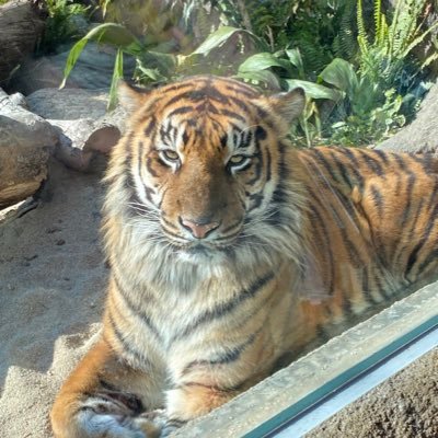 怪談衛門アマガミスト　スイクンさんのプロフィール画像