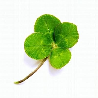 J6mrxRqgPujabgx's profile picture. 