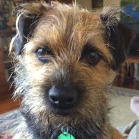 Suzanne Robins (@suzannerobins1) 's Twitter Profile Photo Suzanne Robins (@suzannerobins1) 's Twitter Profile Photo
