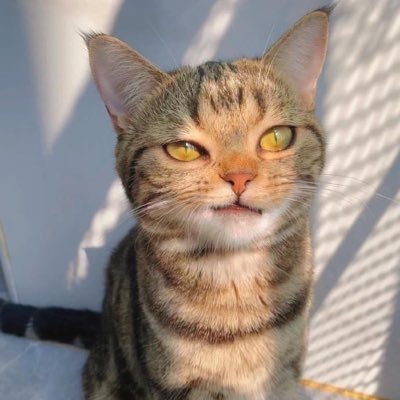 miggaze59's profile picture. 