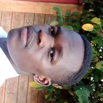 Phelyx74074515's profile picture. Microbiologist 🧬🔬🧬
Poet@Olixo💖
Critical thinker💯