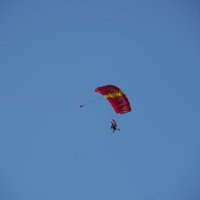 NicLechat (@niclechat) 's Twitter Profile Photo