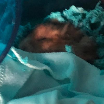 AlanVlo59379104's profile picture. 