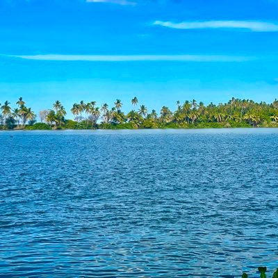 Dan29246751's profile picture. Pa’ lante