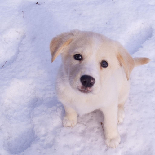 xhdzms2266's profile picture. 로봇만들기... 자료 모으기를 좋아해요! 소식 많이 주시면 감사~ 감싸~