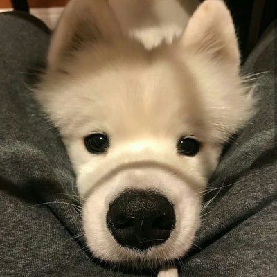 tstststststf's profile picture. แล้วไงต่อ