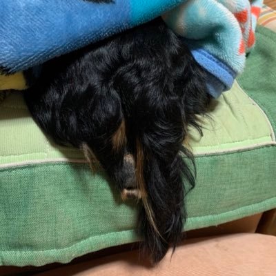 nnsngnbey's profile picture. 遺伝子ロボット / エビは海の果物 / 強めの思想の垂れ流し / 🫵🫵🫵🫵