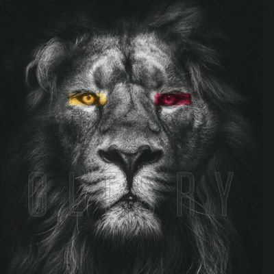 06estarabim's profile picture. 