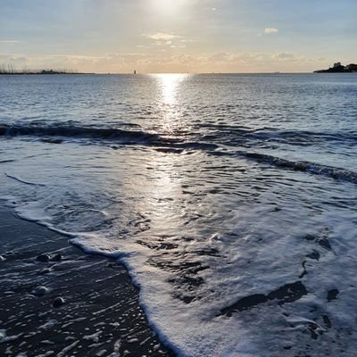 LupoMagali's profile picture. 