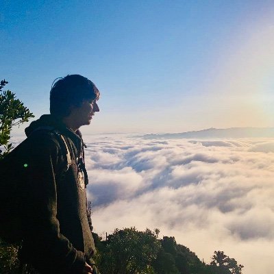 I'm a software engineer. Interested in creativity and retro websites. Je suis d'une géneration désenchantée. Peace.