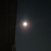 信天 (@1iw806rtchqh5a1) 's Twitter Profile Photo 信天 (@1iw806rtchqh5a1) 's Twitter Profile Photo