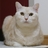 mika_gets_it's profile image