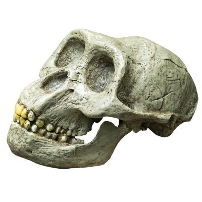 nie_binarna's profile picture. Non profit