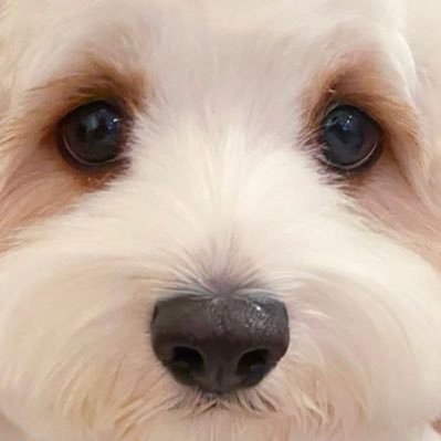 Hj5Cl's profile picture. 