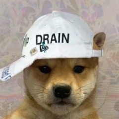 thvmzs's profile picture. im wario when im in mario kart