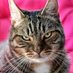 Tung Kat (@tungkat89) Twitter profile photo Tung Kat (@tungkat89) Twitter profile photo