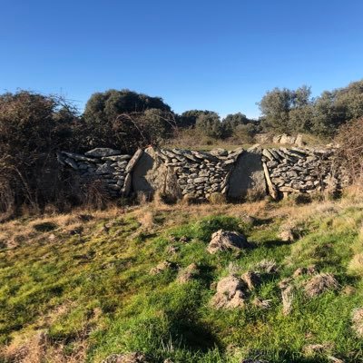 Jorsroelos's profile picture. Alma de piedra: hincón, aguja, pergón y cobertera.