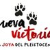 @YacimientoV #CuevaVictoria 🐾 (@YacimientoV) Twitter profile photo