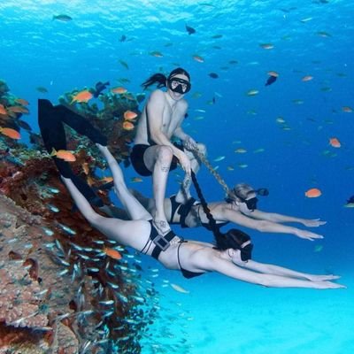 gooodboyhalo's profile picture. .