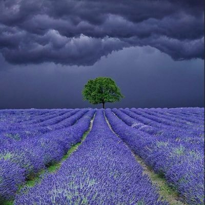 PeripateticSky's profile picture. 
