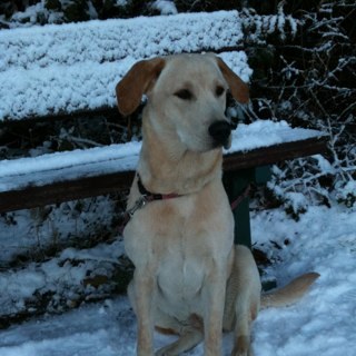 robbierunner's profile picture. All views expressed are entirely my own ...