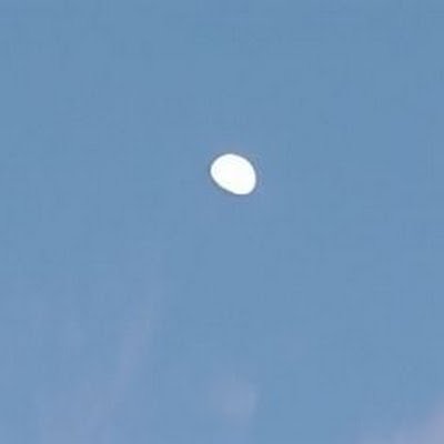 IF01570150's profile picture. 自称オタク、ゲーマーです。好きなゲームはコンパス、オセロニアです。好きなアニメはエヴァ、ブラッククローバー、2.5次元の誘惑、ゆらぎ荘の幽奈さん、あと風都探偵も好きです。よろしくお願い致します🙏✨