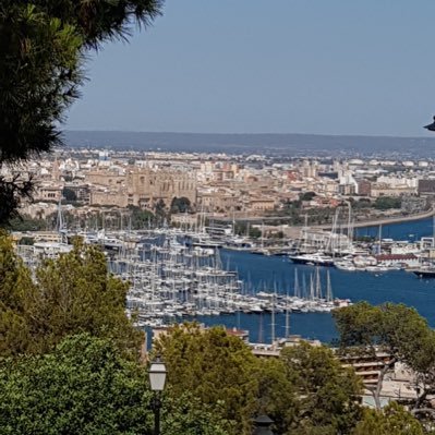 Heihei223's profile picture. 