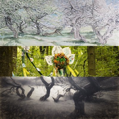 TreasuringTrees's profile picture. 3 artists @seaparkin @valerieDalling &amp; @creepingtoad Celebrate Derbyshire Trees in exhibition Buxton Museum &amp; Art Gallery 19th Feb -8th June 2022