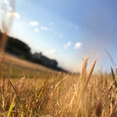 iza02shi's profile picture. 