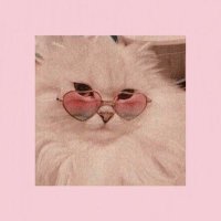 π΅πππ (@_theniisa) 's Twitter Profile