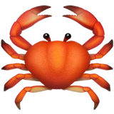 🦀  Biggest fan community!