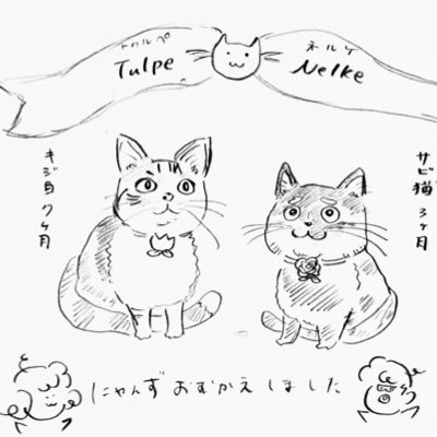 保護猫ガールズの生活報告📝 キジシロ三毛猫：トゥルペ（TULPE）8か月♀🐈 サビ猫：ネルケ（NELKE）3か月♀🐈‍⬛　2022年1月8日にお迎えしました。