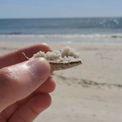 TheDailyHergesh's profile picture. The Daily Hergesh. The daily hergesh is not limited in being daily.