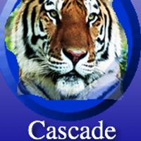 Cascade Elementary (@apscascade) 's Twitter Profile