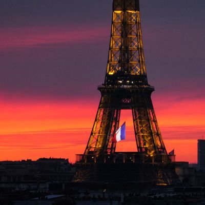 🇫🇷 Proud Parisian | 🗣️ FRA/ENG/ESP