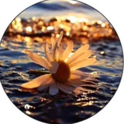 alwatf39's profile picture. سبحان الله , الحمدلله , الله أكبر , لا إله ألا الله