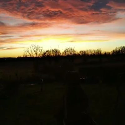 GLegrand82's profile picture. Vivre comme un arbre, seul et libre. Vivre en frères comme les arbres d'une forêt. Nâzim Hikmet