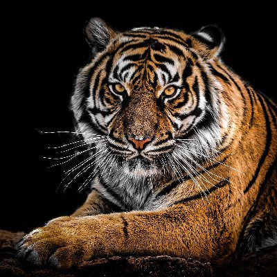 dunegrass69's profile picture. Retired from the rat-race