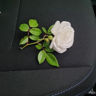 shelzbabes's profile picture. Live ,love eat and pray