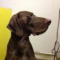 Tabata (@jacky_and_tab) 's Twitter Profile
