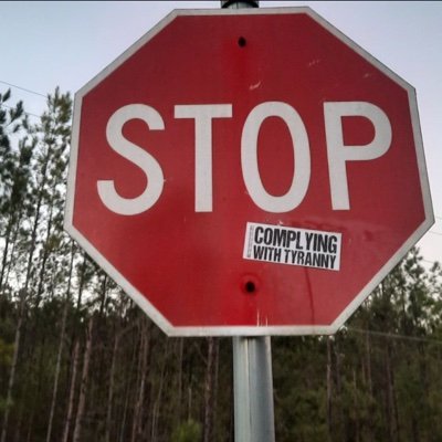 HonestyTruth7's profile picture. 