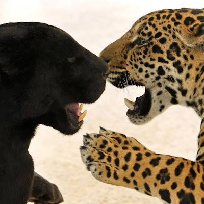 anapaul09923735's profile picture. 