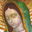 fausta flores - @flores1116 - Twitter