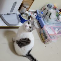 PIeRroT (@z_pierr0t_t) 's Twitter Profile