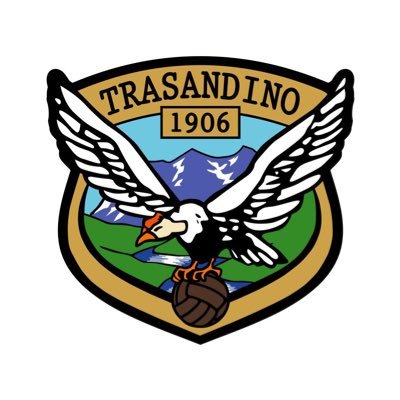 Trasandino de Los Andes Oficial - Club de Fútbol de la Segunda División Profesional de Chile - Campeones Tercera División 2021