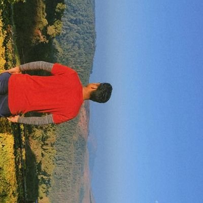 pokeperso's profile picture. 