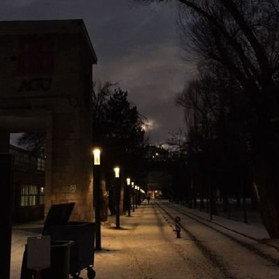 iamred_rex's profile picture. Red for power, Rex for legacy.