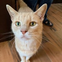 CeeCee (@ceecee1325) 's Twitter Profile