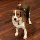 John Samuel Dailey - @alldaydailey_ - Twitter