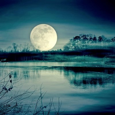 ePoolcleaner's profile picture. "Donkeys live a long time."